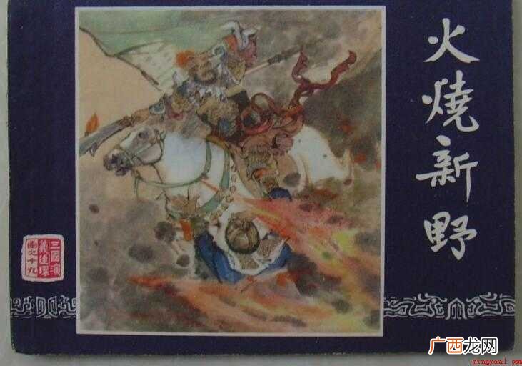 火烧新野的主要内容是什么