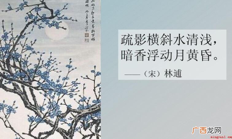 暗香浮动月傍晚上一句是什么 暗香浮动月黄昏上一句是什么