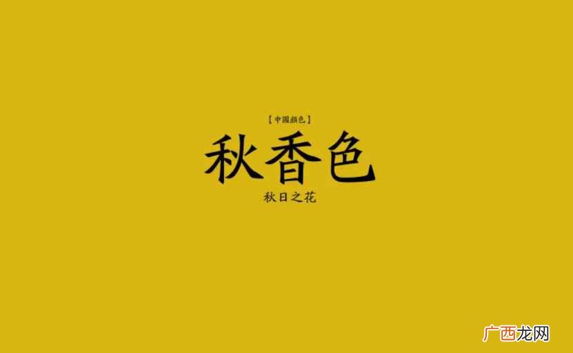 gray是什么颜色