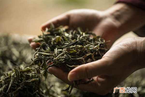 茵陈茶的功效与作用