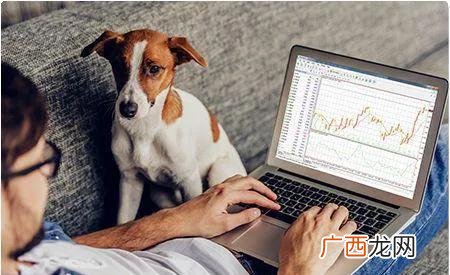 什么是自营交易,自营商品是什么意思？