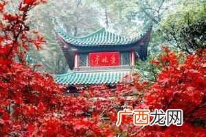 岳麓山有多高