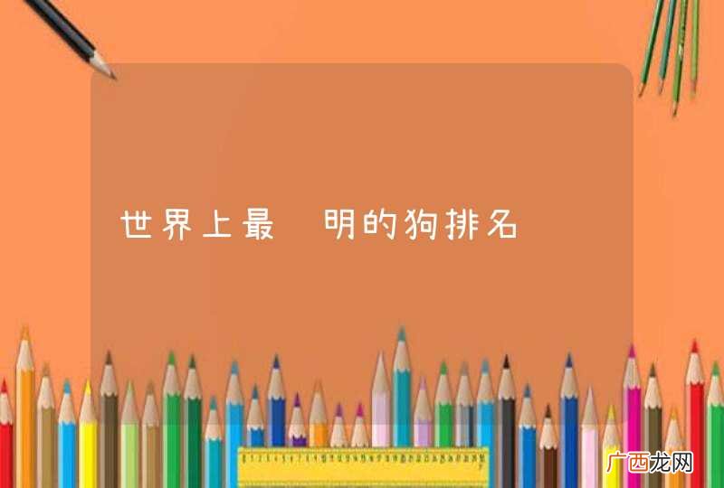 世界上最聪明的狗排名