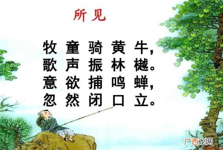 《所见》表达了什么情感