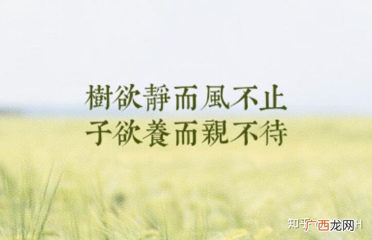 树欲静风欲止什么意思,树欲静而风不止，子欲养而亲不待，什么意思？