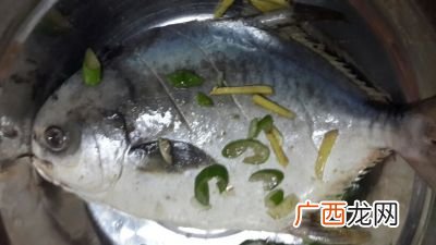 市场冒充大平鱼的是什么鱼,假鲳鱼什么样?