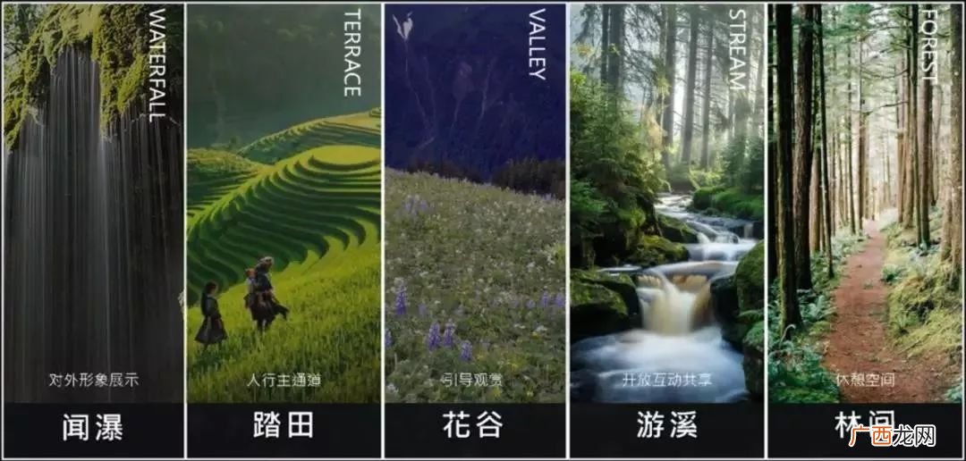 五境是什么,知命境界以上有几大境界？