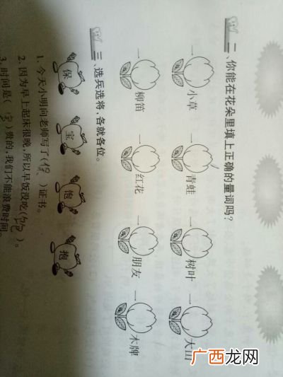 一什么鲜花填量词,一什么鲜花填空？