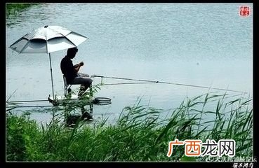 秋季如何钓鱼技巧,9月怎么钓鲤鱼草鱼?