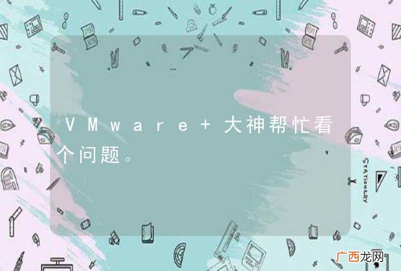 VMware 大神帮忙看个问题。