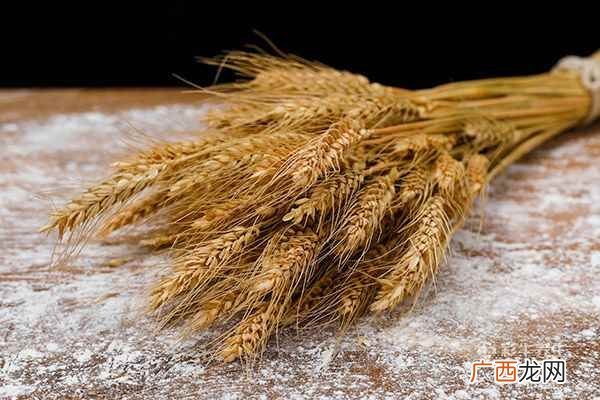 血糖高可以吃什么主食