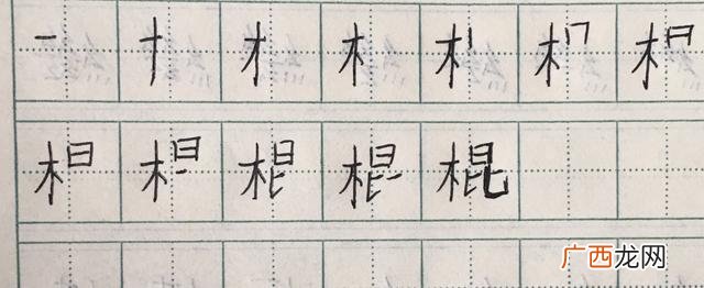 棍字开头的四字成语有哪些,棍的笔顺笔画顺序？