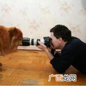 中国摄影报如何投稿,摄影作品怎么上杂志投稿？