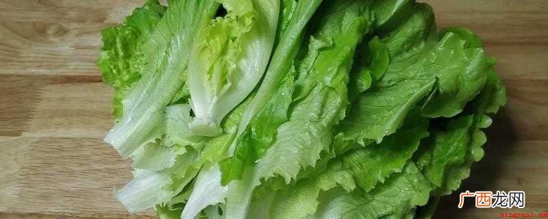 必须泡茶,用小水泡一下,更利于种子出芽 生菜种子需要泡水吗