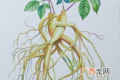 锦什么成语,锦的成语有哪些？