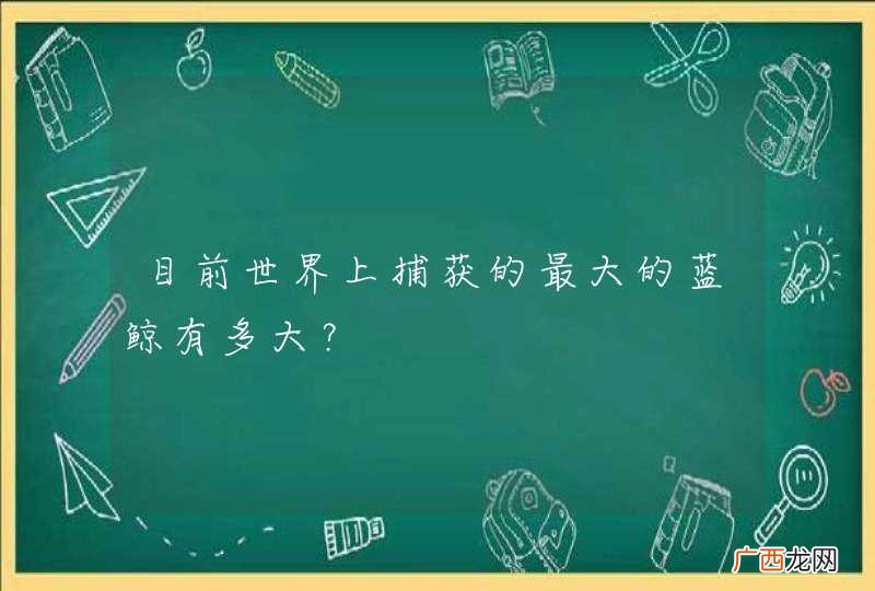 目前世界上捕获的最大的蓝鲸有多大？