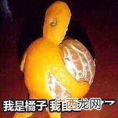 剥橘子什么梗,柑橘什么梗？