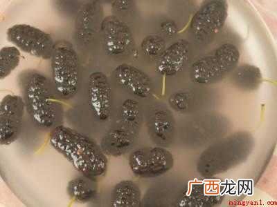 如何洗桑葚