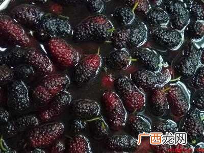 如何洗桑葚