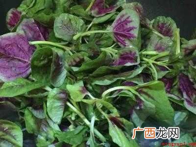 小米菜怎么做好吃