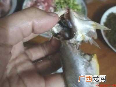 小黄鱼怎么清理