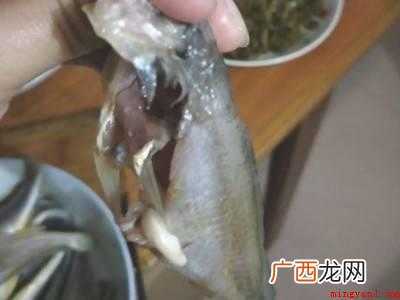 小黄鱼怎么清理