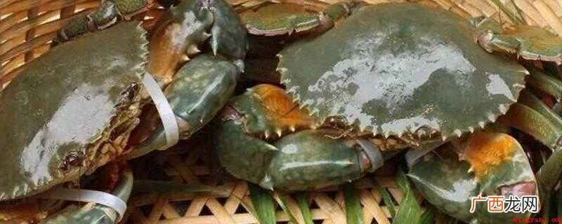 大青蟹块头比较大,机壳较为硬,较难煮熟,用压力锅蒸,气短以后 青蟹高压锅要蒸多久