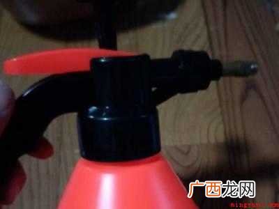 床上有虫子怎么去除