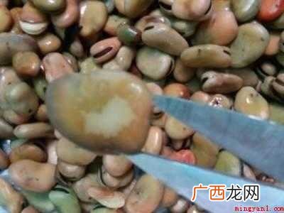 青兰花豆怎么做好吃