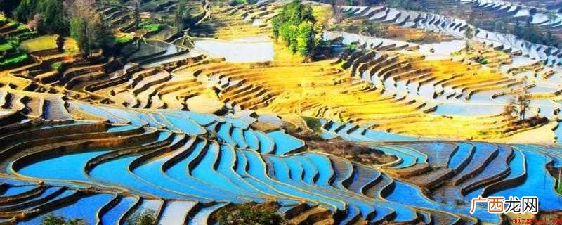 昆明以南的大部分地区主要指玉溪、红河、文山等地区 滇南是云南什么地方