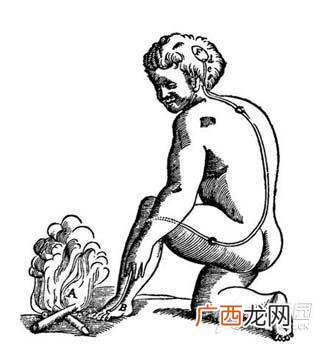 感受器可分为哪两大类,感受器名词解释？