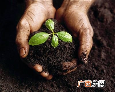 有增根是什么,“如果一个分式方程有增根”这句话说明什么意思?增根是什么意思?
