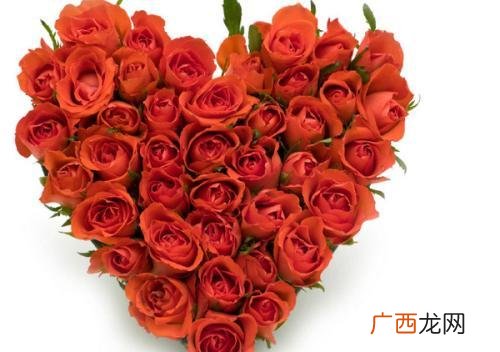 玫瑰花的形状是什么,玫瑰用各种语言怎么写？