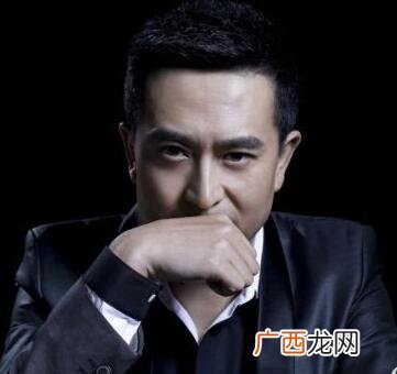 张嘉译饰演林荫的电视剧叫什么名字,公安局长张嘉译剧情解读？