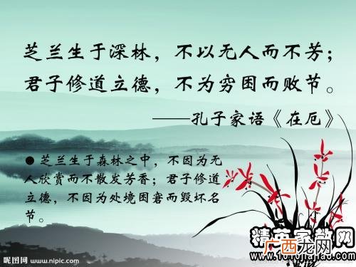 格言警句是什么意思,什么是格言警句？