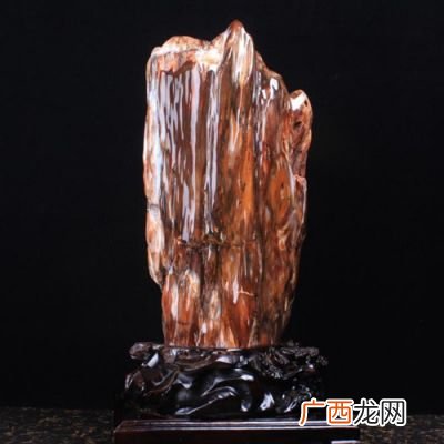 木化石是怎么形成的,木化石都有什么树？