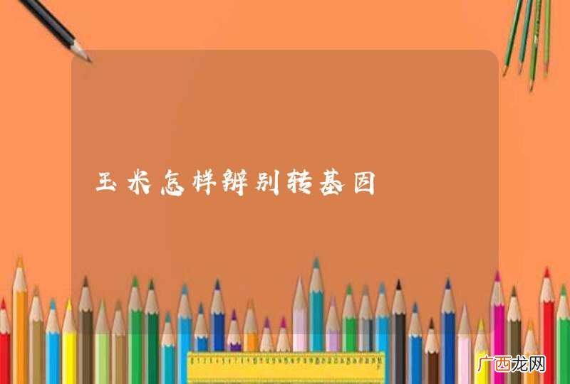 玉米怎样辨别转基因