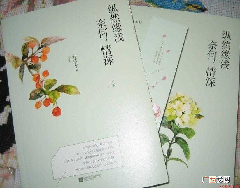 叶落无心的作品介绍有哪些