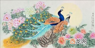 孔雀牡丹图的寓意是什么,玉兰花开富贵牡丹孔雀图代表什么意思？