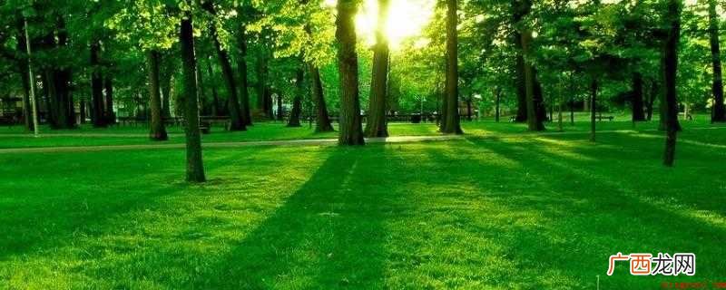 草地在环境保护中具备消化吸收二氧化碳造成o2的主要功效 草地在环境保护中具有什么的重要作用