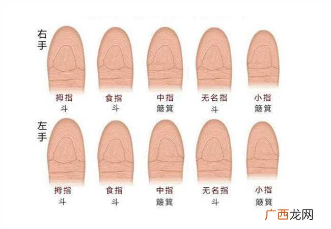 手斗和簸箕的测命 手指头的斗和簸箕代表什么