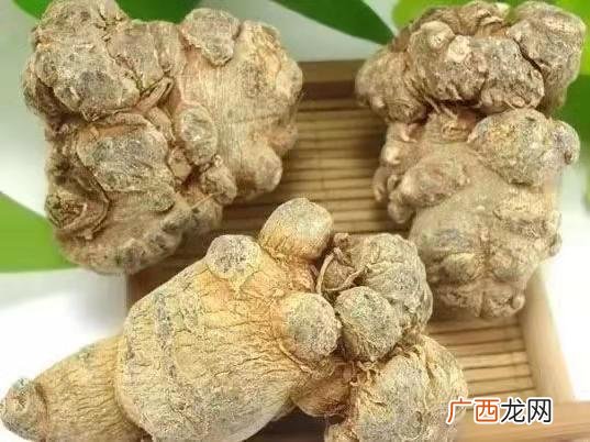 怎么辨别三七的好坏,三七黄色的好还是绿色好？
