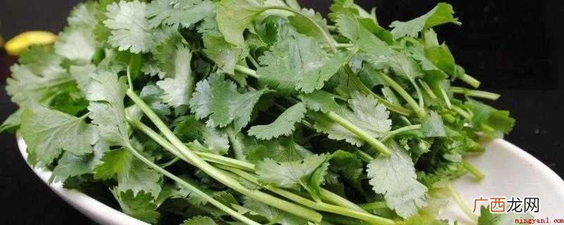 香菜和芫没有区别,是同一种蔬菜水果,仅全国各地说法不一样 芫荽和香菜有什么区别