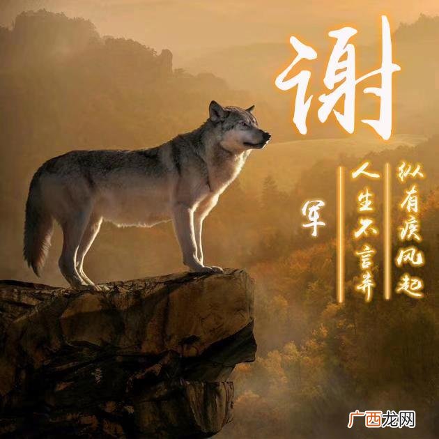 带狼的霸气名字,帮我找个带狼的，有野性的霸气网名？