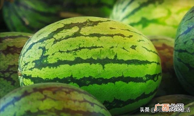 有什麽介绍中国的旅游节目,介绍中国民族风俗的电视节目有哪些？