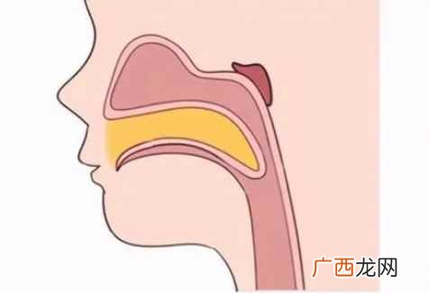 喉腔最狭窄的部位是哪里