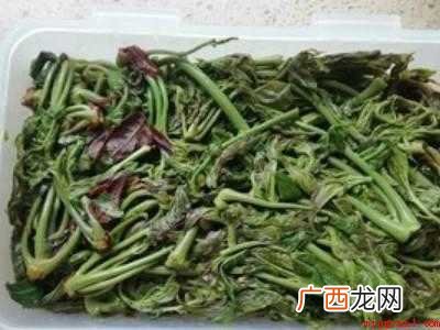 香椿芽怎么腌制好吃