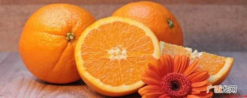 芸香科柑橘植物橙树的果实 橙子在冰箱里可以保存多久