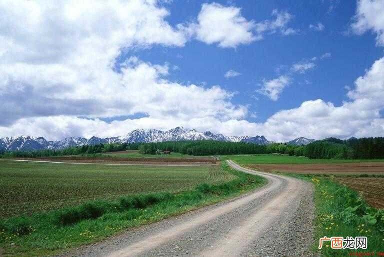 道路以目有哪些造句