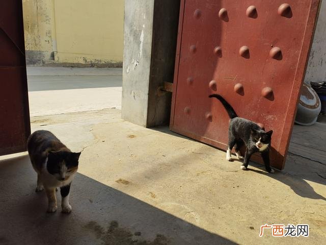 上善若水水利万物而不争求出处,上善若水诗句四句？